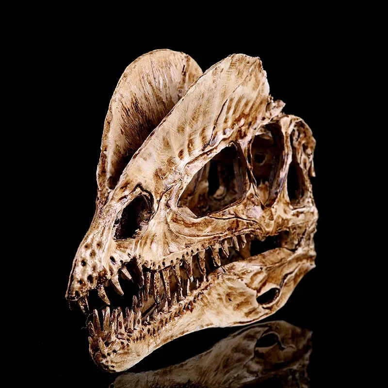 Dilophosaurus Skull Replica | Dinosaur Skull Decor | Museum Inspired Fossil Display | Natural History Collectible | Bookshelf Decor