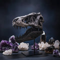 Tyrannosaurus Rex Skull Display With Stand