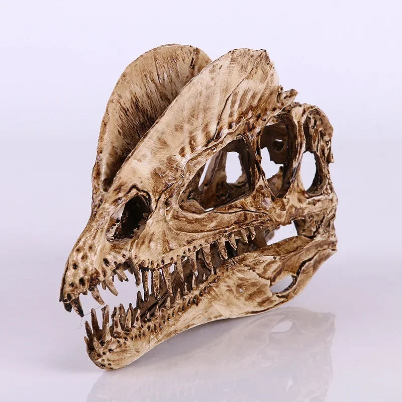 Dilophosaurus Skull Replica | Dinosaur Skull Decor | Museum Inspired Fossil Display | Natural History Collectible | Bookshelf Decor