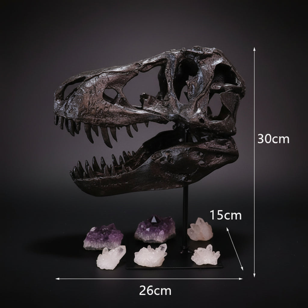 Tyrannosaurus Rex Skull Display With Stand
