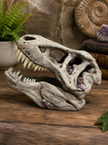 Large 34cm Dinosaur Skull with Amethyst Crystals