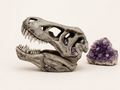 Large 34cm Dinosaur Skull with Amethyst Crystals