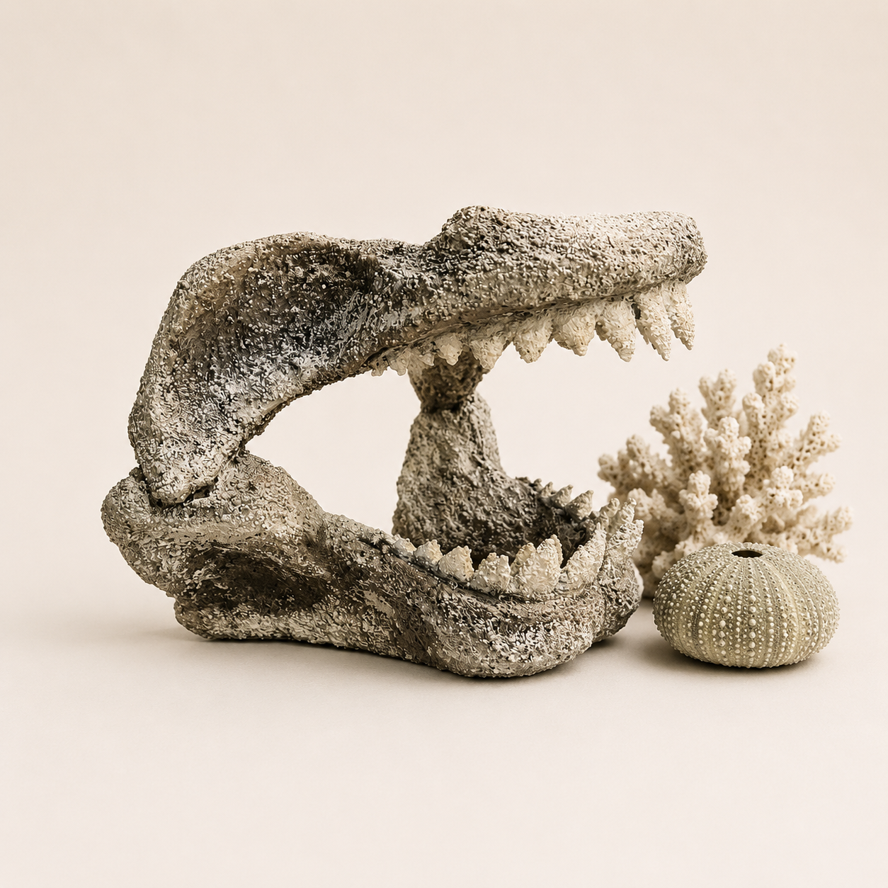 Great White Shark Jaw Replica | Ocean Decor | Coastal Display | Nautical Home Decoration