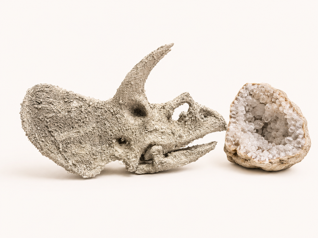Triceratops Skull Replica 19cm approx | Dinosaur Skull Decoration | Prehistoric Fossil Display | Jurassic Home Décor