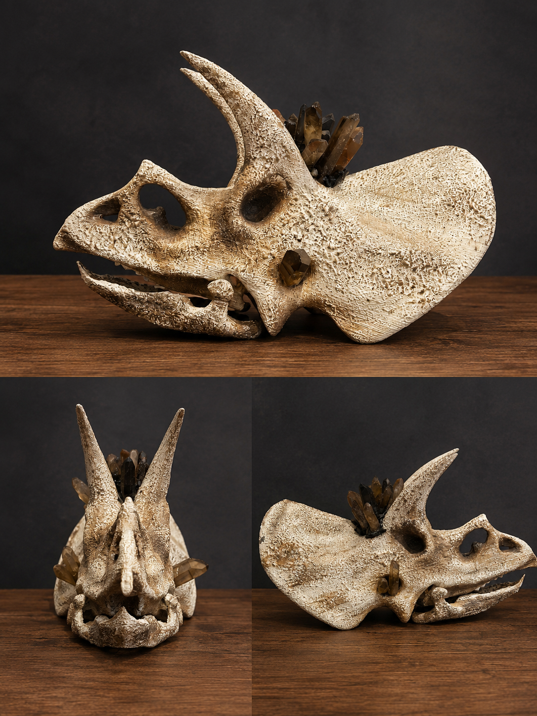 Large 30cm+ Triceratops Skull with Smoky Quartz Crystals
