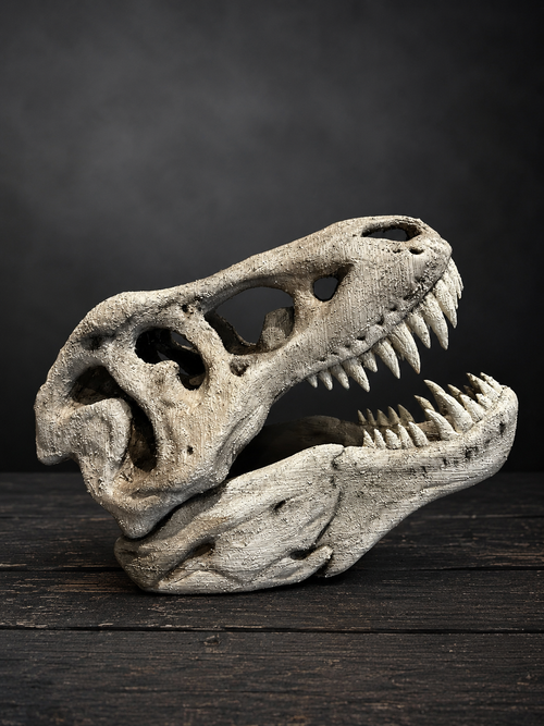 34cm Large T-Rex Skull Replica