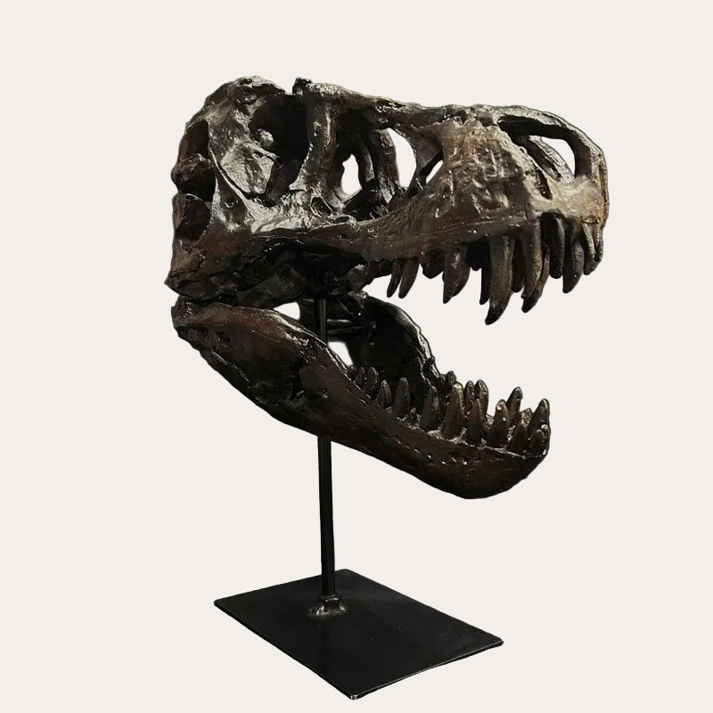 Tyrannosaurus Rex Skull Display With Stand