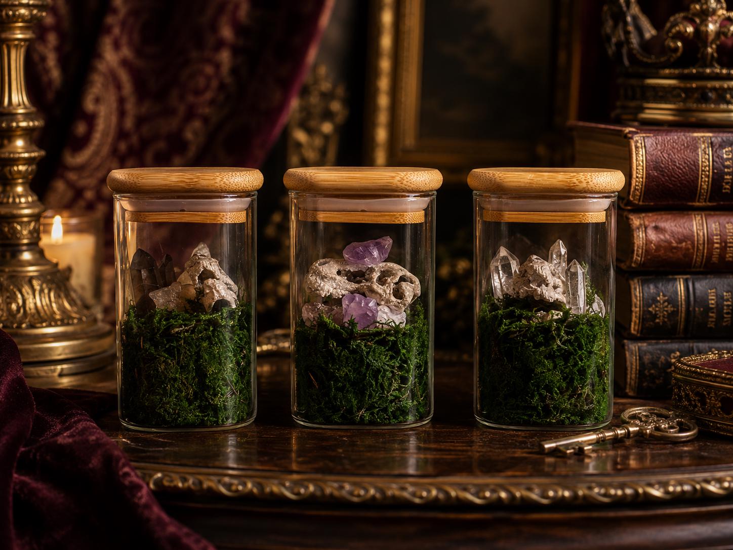 Dinosaur T-Rex Skull Real Crystal Terrarium Set of 3